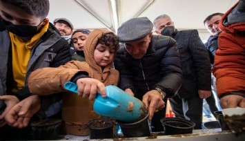 Soyer: Her bir ağaca dair sorumluyuz