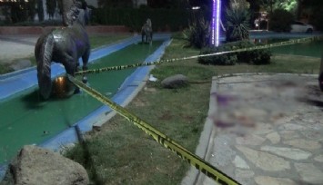 İzmir’de köpek kavgası kanlı bitti