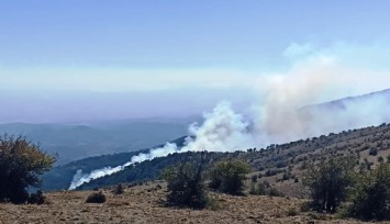 İzmir'de orman yangını: Havadan ve karadan müdahale