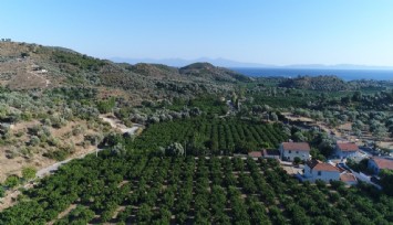 Menderes Belediyesi’nden tarım seferberliği