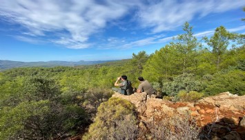 Av koruma çalışmaları devam ediyor