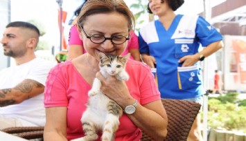 Karşıyaka’da can dostlara sıcak yuva aranıyor