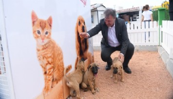 Bornova’da can dostlarına sıcak yuva