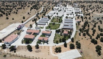 Konya'daki hayvana eziyet olayı ile ilgili soruşturma başlatıldı