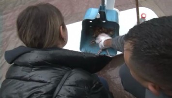 Karataş’ta sele kapılan fareye kalp masajı yapıldı