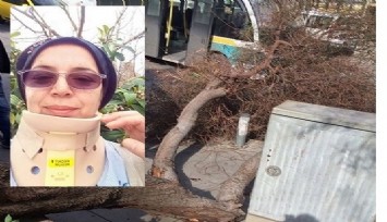 Başına ağaç düştü, Karabağlar Belediyesinden tazminat kazandı  