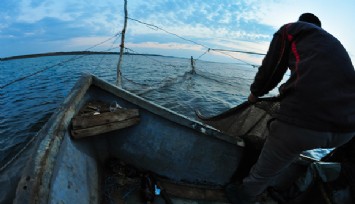 Deniz ekosisteminde oksijen azalıyor