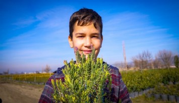 İzmir’in doğal bitkileri şehre taşınıyor