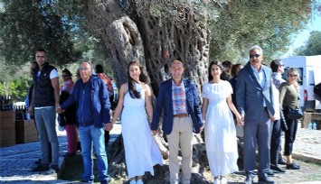 İzmir Büyükşehir Belediyesi zeytinlik alanları madenciliğe açan yönetmeliğe karşı dava açtı