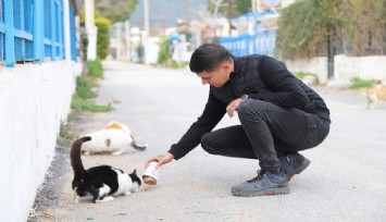 Menderes Belediyesinden sahildeki can dostlara özel ilgi