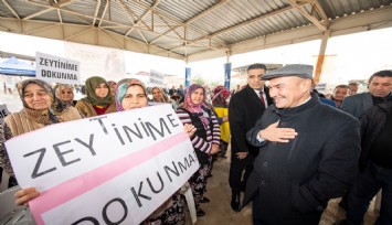 Başkan Soyer’den zeytinlik düzenlemesine tepki:  Zeytin ağaçlarının yok edilmesi asla kabul edilemez