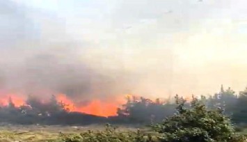 Çeşme’de yangın: Ekipler kontrol altına almak için seferber oldu