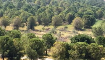 Ege Üniversitesinde ürküten görüntü