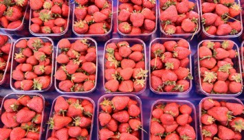 Emiralem'de şenlik var