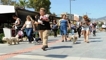 Karşıyaka Belediyesinden can dostlar için farkındalık yürüyüşü