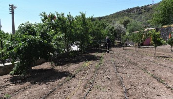 Bornova Belediyesinden üreticiye tam destek
