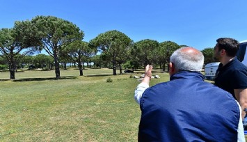 Kozak’ta çam fıstığı mücadelesi