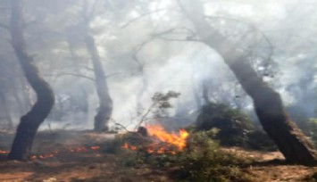İzmir Büyükşehir Belediyesinin “Akıllı İhbar Sistemi” büyük bir felaketi önledi