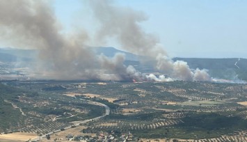 Foça’da orman yangını: Havadan ve karadan müdahale ediliyor