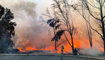 Sasalı Doğal Yaşam Parkı’ndaki yangın kontrol altına alındı  