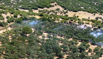 İzmir'de yangın: Bir helikopter ve yedi arazöz ve iki su tankeriyle müdahale ediliyor