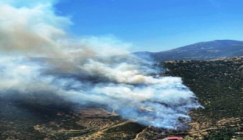Ödemiş ve Seferihisar’da yangın