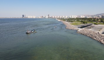 Bostanlı deniz marullarından kurtuldu