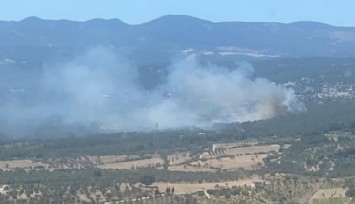 Bornova’da ormanlık alandaki yangın kontrol altına alındı