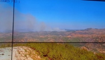 Seferihisar’da orman yangını  