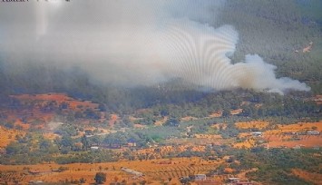 Seferihisar'daki yangınlar kontrol altında