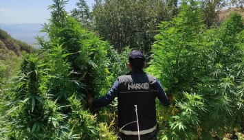 Zehir tacirleri polisin dronlu takibinden kaçamadı