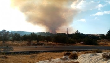 Dikili’de Yangın: Havadan ve karadan müdahale ediliyor