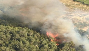İzmir'de orman yangını  