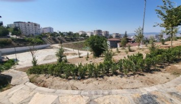 Buca Yedigöller tamamen yenilendi