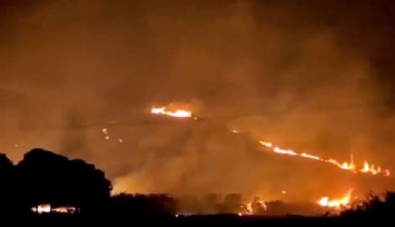 Söke'deki orman yangını kontrol altına alındı  