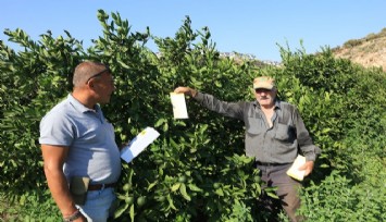 Güzelbahçe Belediyesi’nden üreticiye tam destek