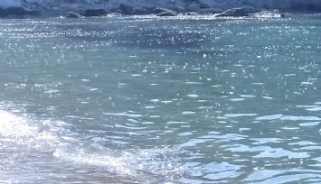 Çeşme’deki arıtma sorununa Başkan Soyer el koydu