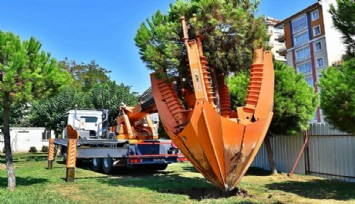 Buca Metrosu inşaatı sürüyor: Ağaçlar taşınarak koruma altına alınıyor 