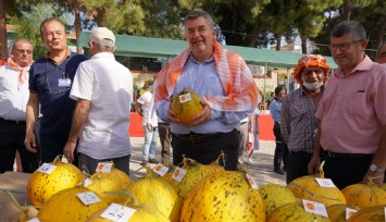 Çeşme, Ovacık Festivali'ni bekliyor