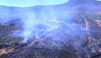 İzmir'de makilik alanda yangın  