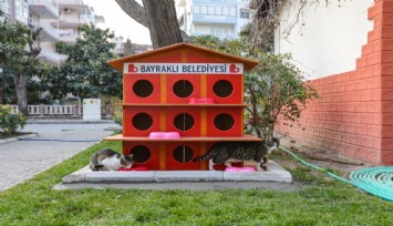 Yeni yılda ‘sıcak yuva’