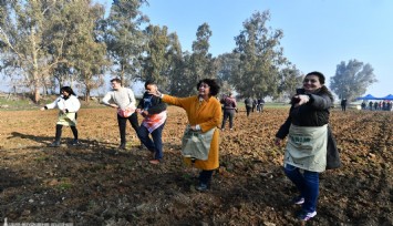 İzmir’de Yaşar Üniversitesi öğrencileri karakılçık ekiminde