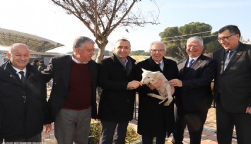 Büyükşehir’in Ödemiş’te dağıttığı küçükbaş sayısı 2 bini aştı