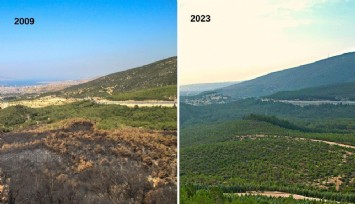 İzmir'in akciğerleri, yangından 14 yıl sonra yeşerdi