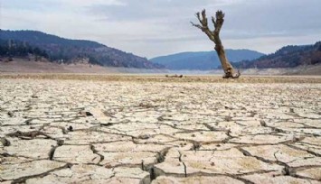 Çiftçiyi tedirgin eden tehlike: Kuraklık