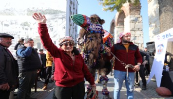 Efes Selçuk deve güreşleri festivalinde altın havan sahibini buldu