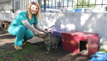 Bayraklı Belediyesi can dostları unutmadı