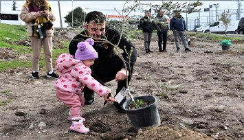 Bornova’da ağaç sahiplendirme