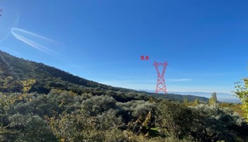 Bakanlık onay verdi… Ağaç kırımı!