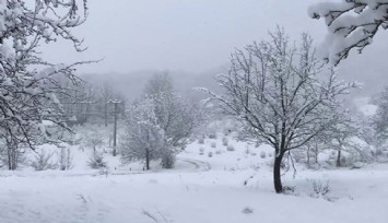 Türkiye beyaza büründü